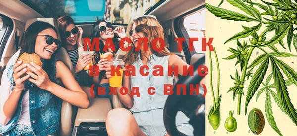 гидра Верхний Тагил