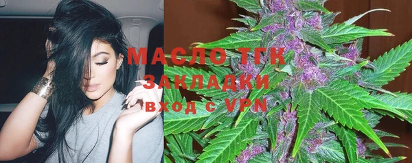 гидра Верхний Тагил