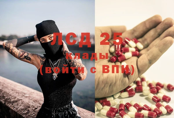 гидра Верхний Тагил