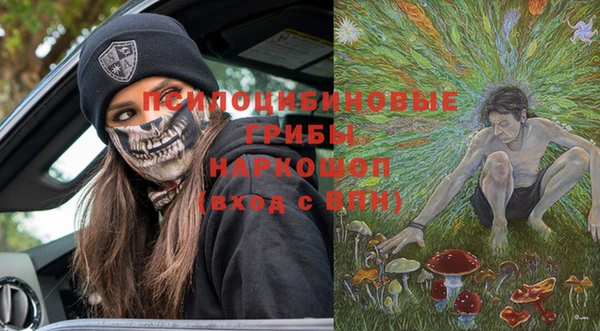 гидра Верхний Тагил
