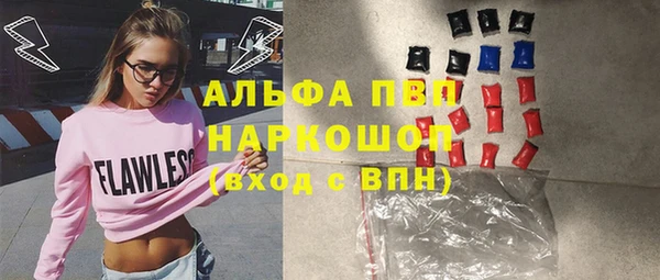 гидра Верхний Тагил