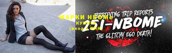 гидра Верхний Тагил