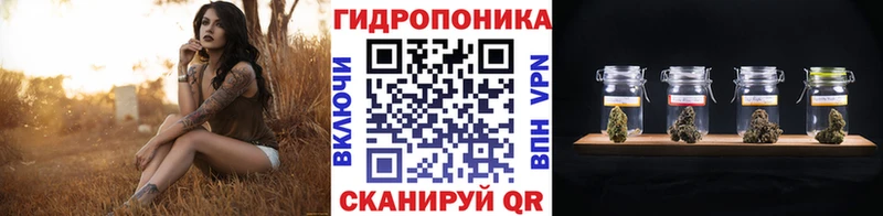 Каннабис планчик  купить наркоту  Нарткала 